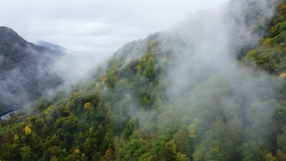 Misty Autumn Mountain Aerial View