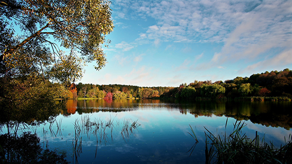 Lake in the Woods