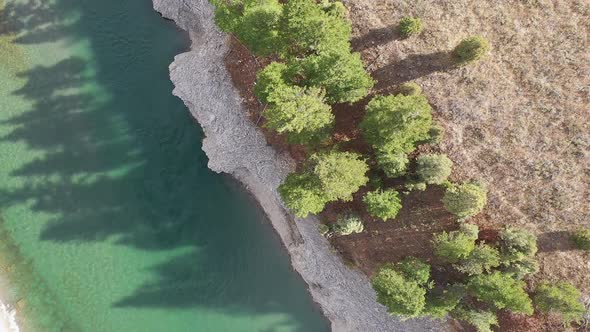 Aerial view looking down at tree shadows on the Snake River