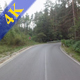 Drive Through Wild Forest - VideoHive Item for Sale