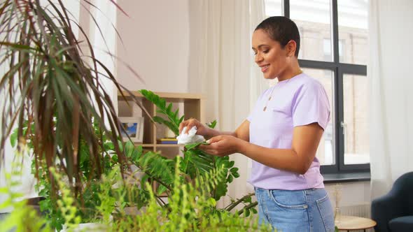 Happy African American Woman Cleaning Houseplant