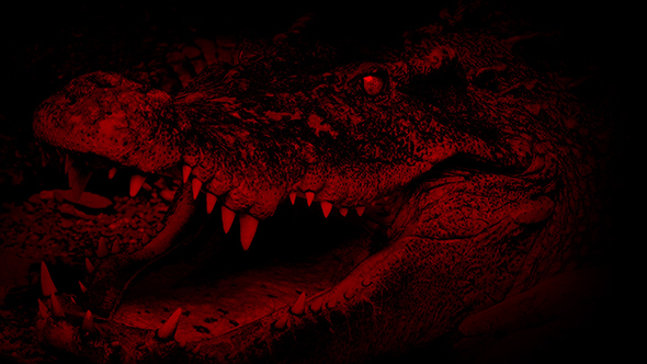 Blood Red Crocodile Opens Mouth Abstract