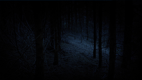 Walking Through Creepy Woods In The Dark