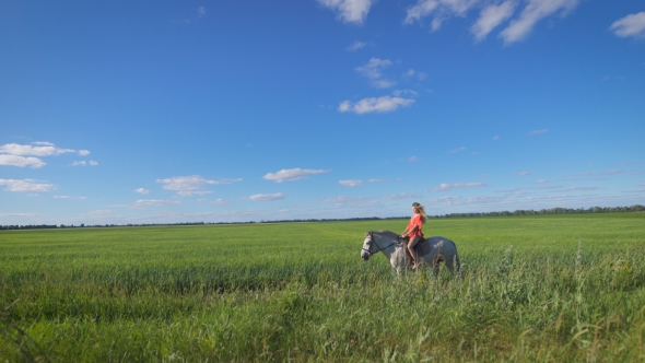 Beautiful Blonde Girl Riding a Horse At a Countryside