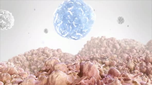 3D Animation of cancer-destroying cell