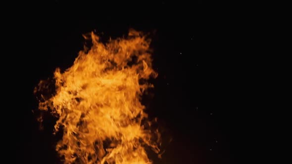 Spurts of Flame. Background of Flames of Fire. Big Bonfire. Slow Motion 240 Fps
