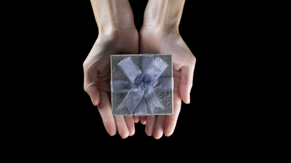 Gift Box in Hand alt