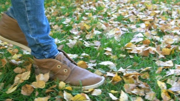 Walking In Autumnal Foliage