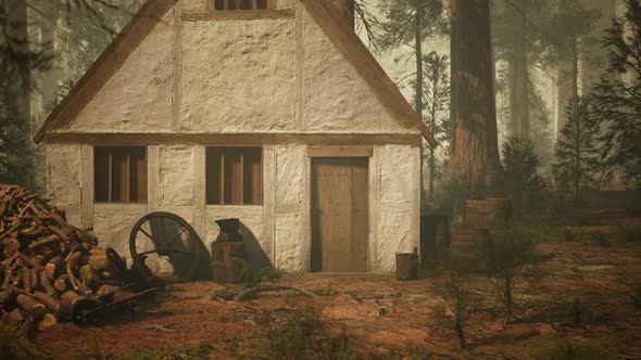 Old Wooden House in the Autumn Forest