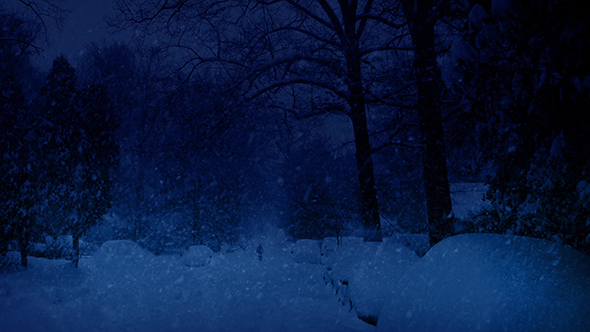 Person Walks In Snowfall At Night alt