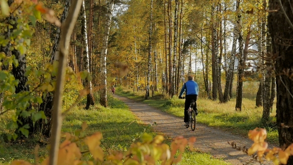 A Cyclist Rides Along a Path In a Park.