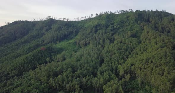 Drone shot of lush greened mountains with trees on mountaintop during cloudy day