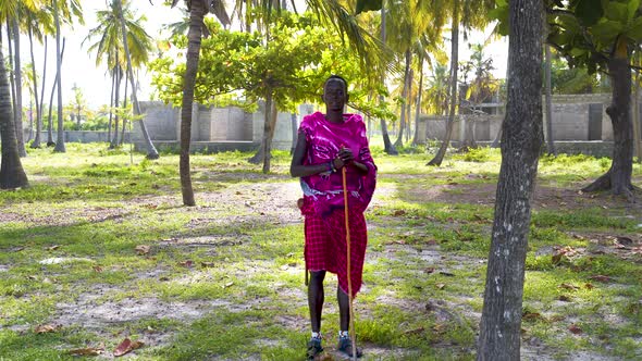 African villager in pink clothes and with stick standing in palm grove.