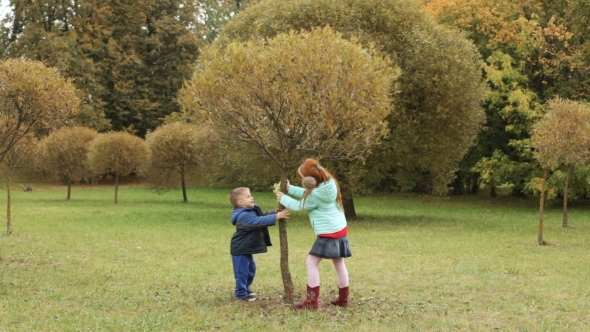 Children Playing in the Autumn Park