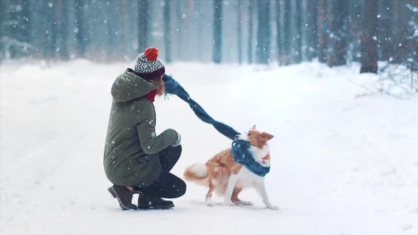Young Happy Woman Train Her Border Collie Dog in Snowy Winter Forest. Doggy Wrap Itself in Blue