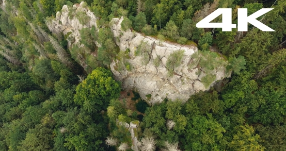 Aerial Shot Beautiful Landscape With Forest And Cliff