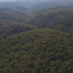 Flying Above Deep Forest Wilderness - VideoHive Item for Sale
