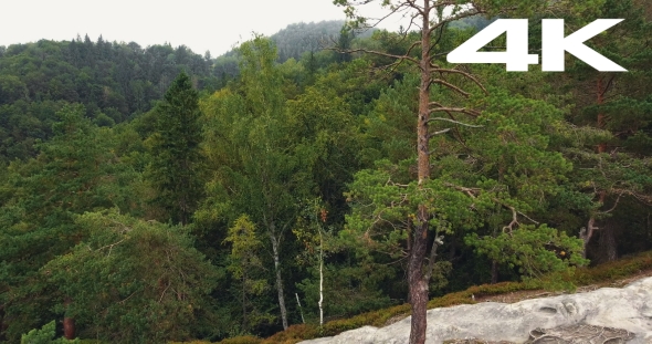 Aerial Shot Beautiful Landscape With Forest And Cliff