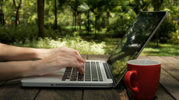 Freelancer Working On Laptop In Garden