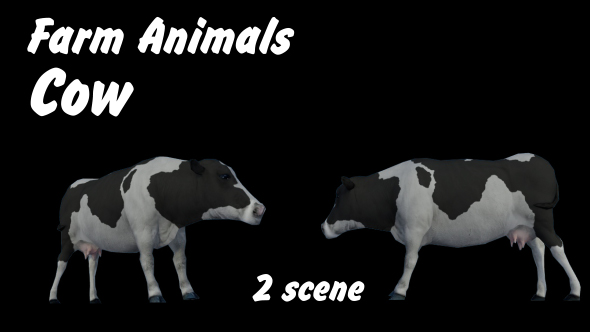Farm Animals - Cow - 2 Scene alt