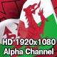 Flag Transition - Wales - VideoHive Item for Sale