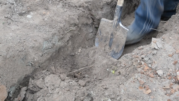 Digging a Trench In Grey Dry Soil With a Spade