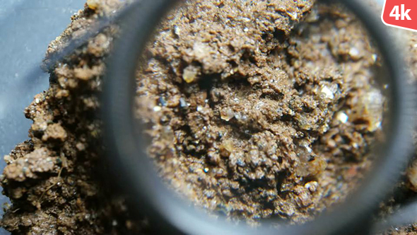 Organic Soil Test 735 alt