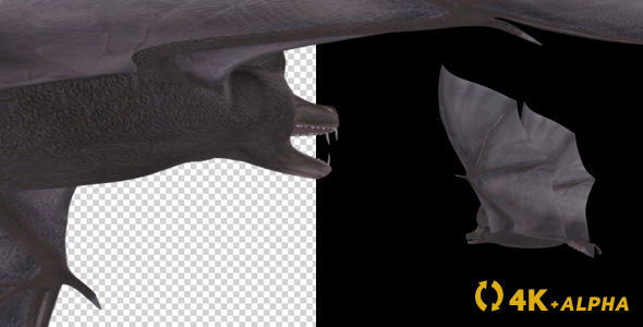 Vampire Bat - Flying Cycle - Back Angle - 4K alt