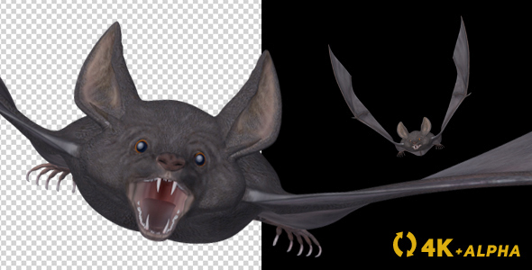 Vampire Bat - Flying Cycle - Front Angle - 4K
