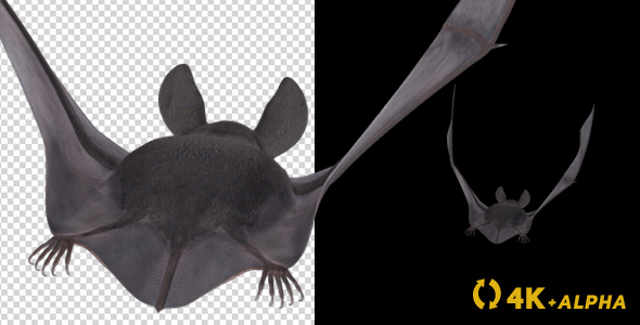 Vampire Bat - Flying Cycle - Back Side - 4K alt