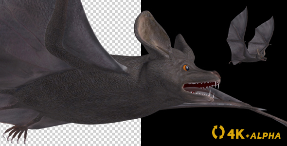 Vampire Bat - Flying Cycle - Side Angle - 4K