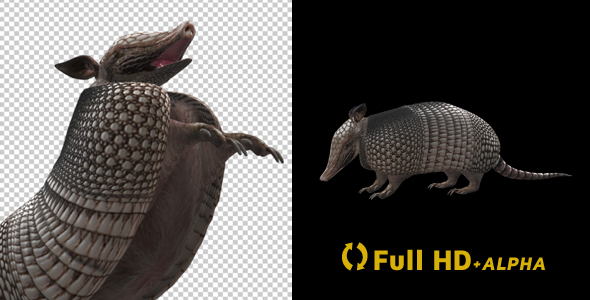 Armadillo - Standing Loop - Left Side Angle alt