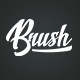 Brush - A Multipurpose WordPress Theme - ThemeForest Item for Sale