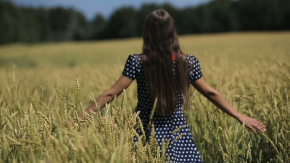 Hand Of Girl In The Wheat Field.