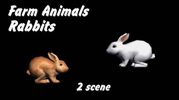 Farm Animals - Rabbits - 2 Scene alt