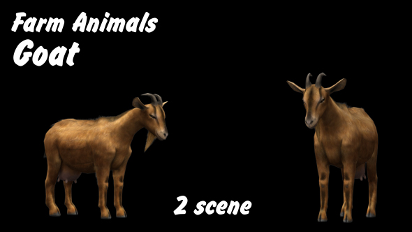 Farm Animals - Goat - 2 Scene