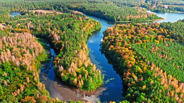 Colorful autumn forest and winding river at sunset, aerial view