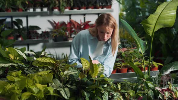 Concentrated female florist picking leaves