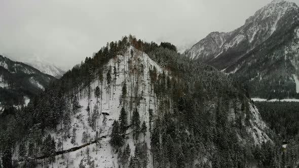 Beautiful view on an Forest with Mountains in Schiederweiher in Upper Austria Drone Video