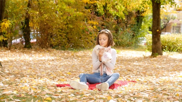 Child Playing With Puppy