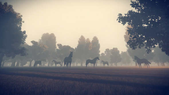Sunrise - Nature - Horses