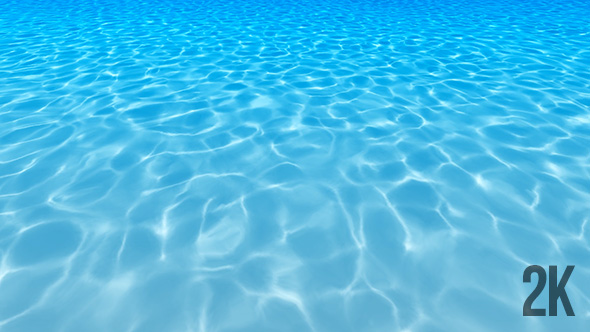 Bottom Of The Sea alt