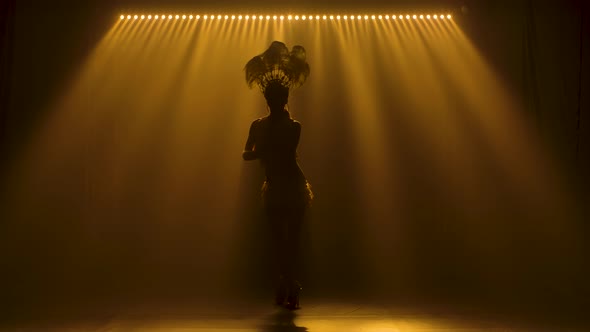 Silhouette of a Long Legged Female Dancer in a Chic Carnival Costume and a Headdress with Feathers