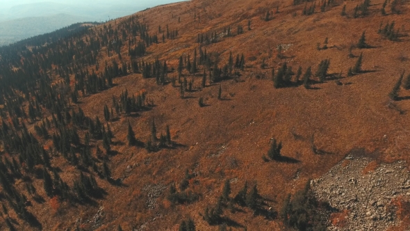 Aerial View From The Mountain Peak. Mountains In The Fall.