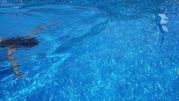 Woman Swimming Across The Pool Underwater.