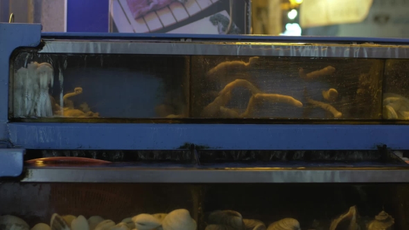 Water Tanks With Fresh Sea Food In The Store