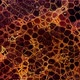 Golden metallic cells shaped like dragon scales moving and pulsing loop - VideoHive Item for Sale