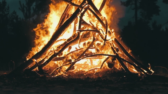 Big Campfire From Branches Burn At Night In The Forest