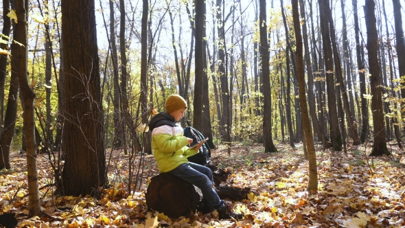 Child In Autumn Forest Uses Tablet