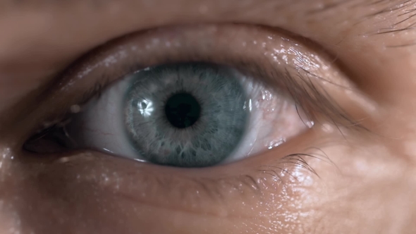 Beautiful Blue Man Eyes With Conatc Lense